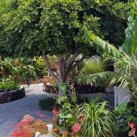 Botanico - Secret Garden *